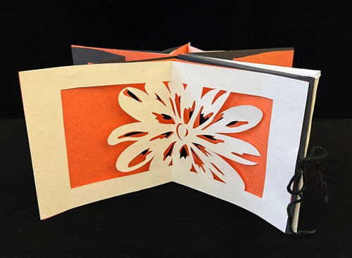 Creative Design : Grayson Centea